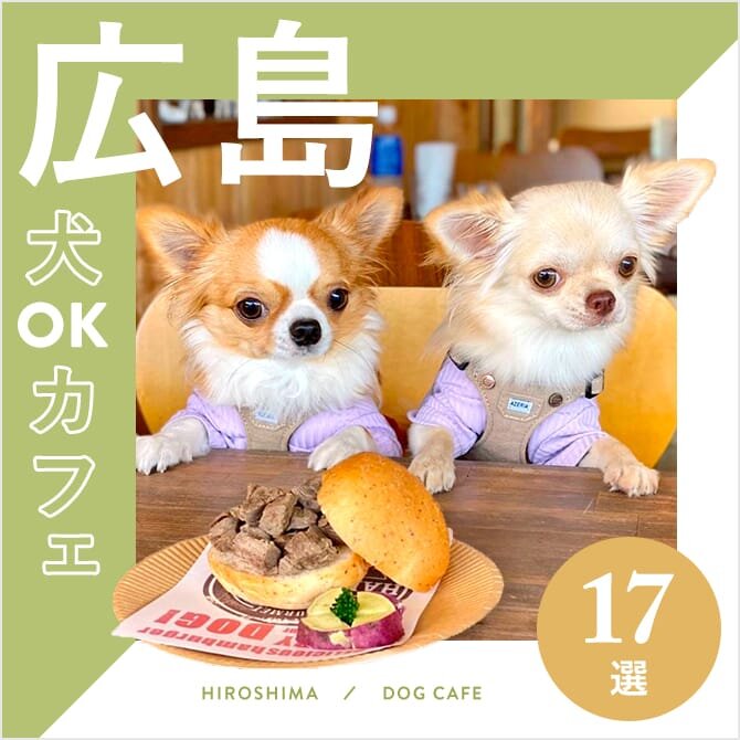 【広島ドッグカフェ・犬と行けるカフェ17選】ワンコメニューのあるカフェや大型犬同伴OKなカフェも！