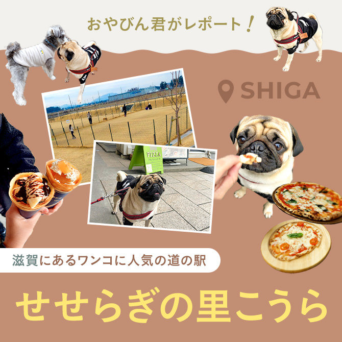 【滋賀｜道の駅 せせらぎの里こうら】ドッグランと石窯で焼くわんちゃんピザ！