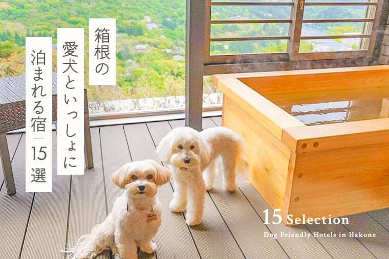 箱根の犬と泊まれる宿15選】箱根で人気のペットと泊まれる宿｜2023年版