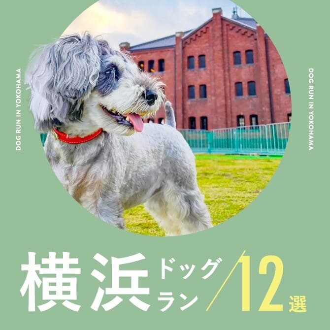【横浜 ドッグラン12選】ワンコットや赤レンガの仮設ドッグランも！