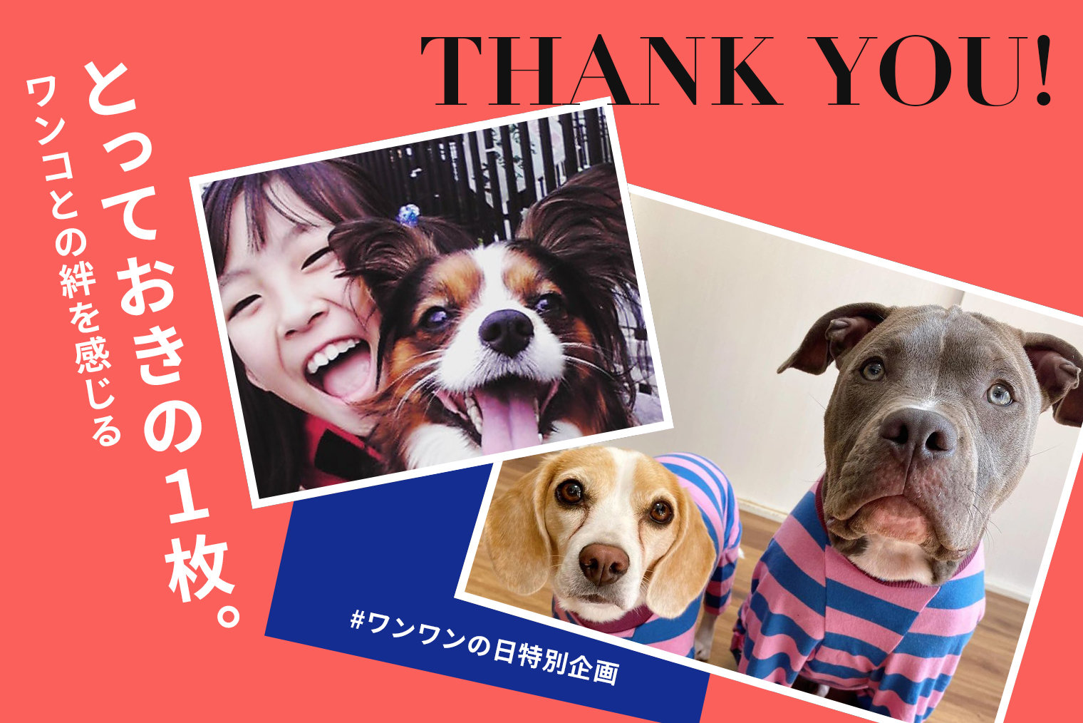 【ワンワンの日特別企画】ワンワンの日に振り返ろう。ワンコとの絆を感じる「とっておきの一枚」