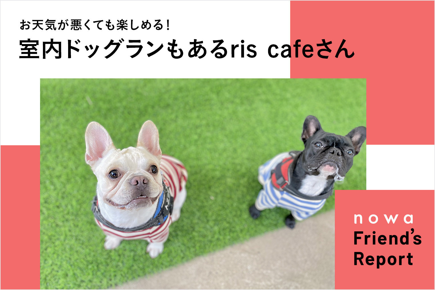 【栃木のドッグラン＆カフェ】全天候型ドッグランとカフェが人気のRis cafe（リスカフェ）