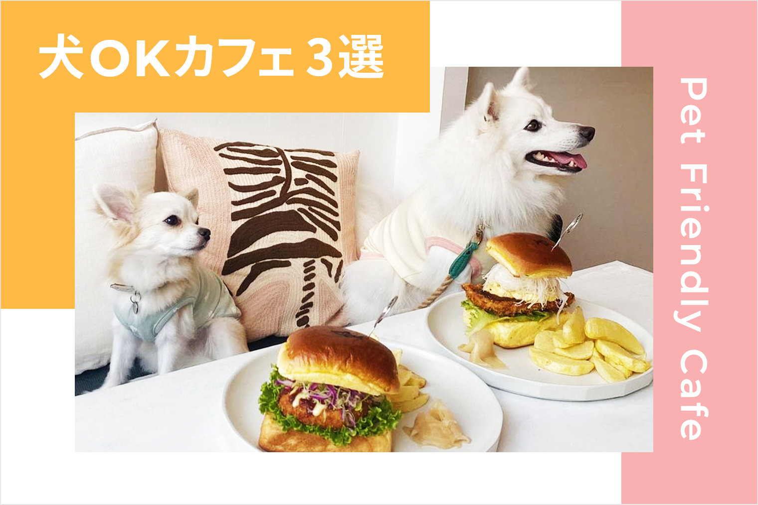 都内ドッグカフェ｜ワンコとひと休み。都心にある、ワンコOKのおしゃれなカフェ3選！