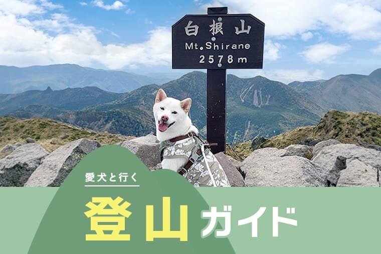 登山 犬 販売 リード