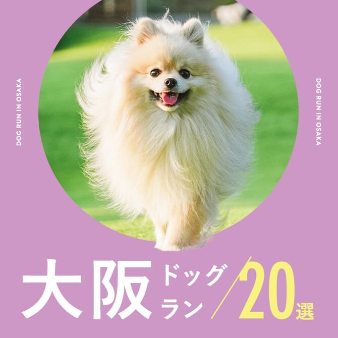 【大阪のおすすめドッグラン20選】室内やカフェ併設も｜最新版