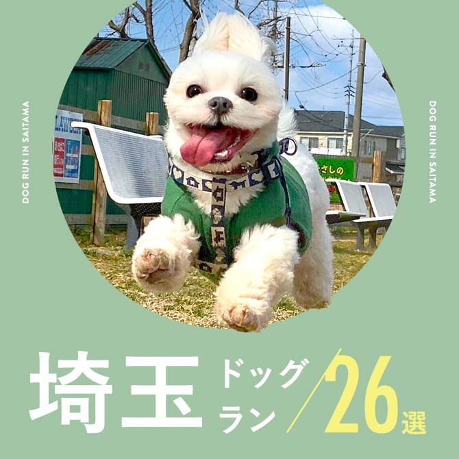 【埼玉のドッグラン26選】無料やカフェ併設など埼玉でおすすめのドッグラン｜2024年最新版