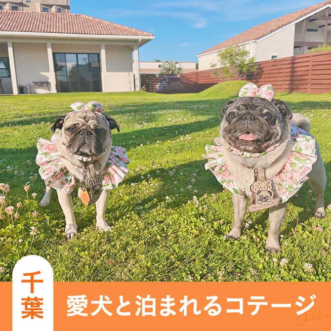 千葉のペットと泊まれる人気ドッグラン付きコテージ