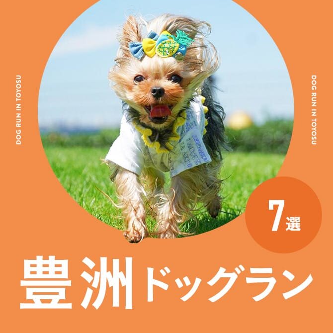 【豊洲ドッグラン】ららぽーとなど豊洲の人気ドッグラン7選！