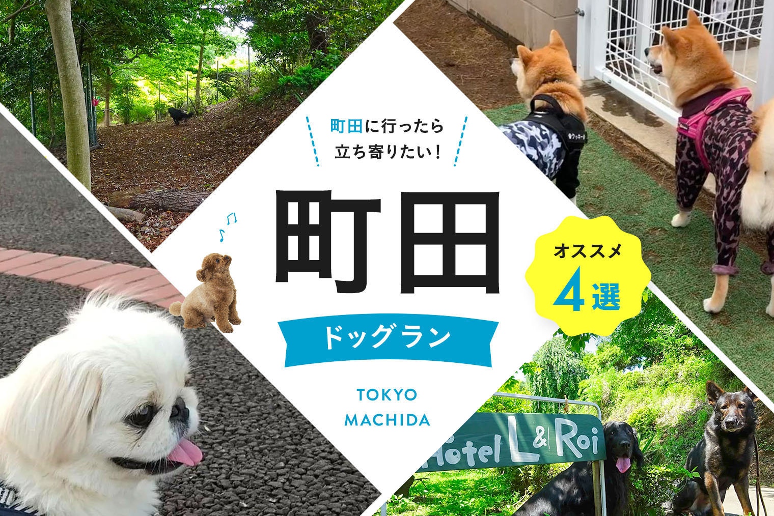 町田ドッグラン 野津田公園など 町田で人気のドッグラン4選