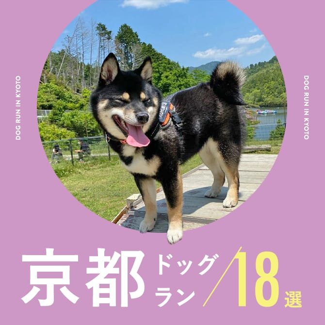【京都ドッグラン18選】公園にあるドッグランやカフェ併設、室内ドッグランも！