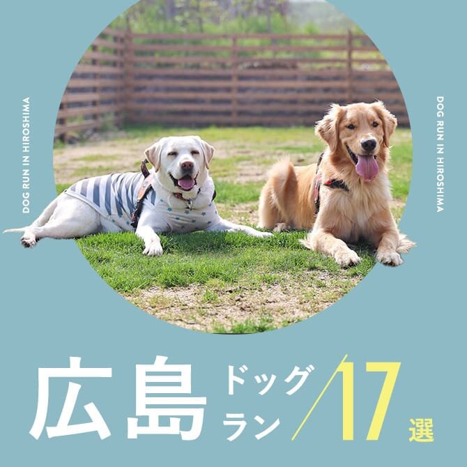 【広島ドッグラン】広島で人気のドッグラン17選！無料やカフェ併設のドッグランも！