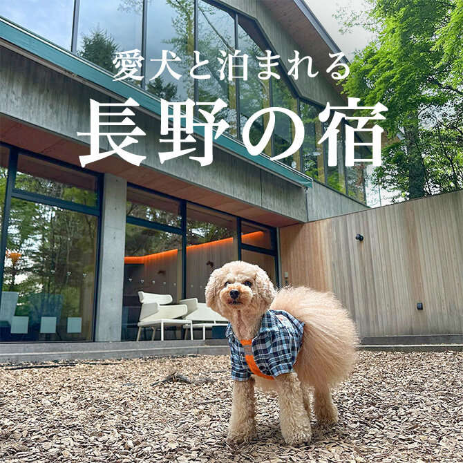 長野のペットと泊まれる宿ランキング｜2026年最新宿一覧