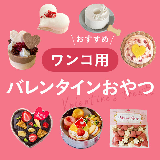 【犬用バレンタインおやつ15選】人気のチョコレート風おやつやケーキ特集