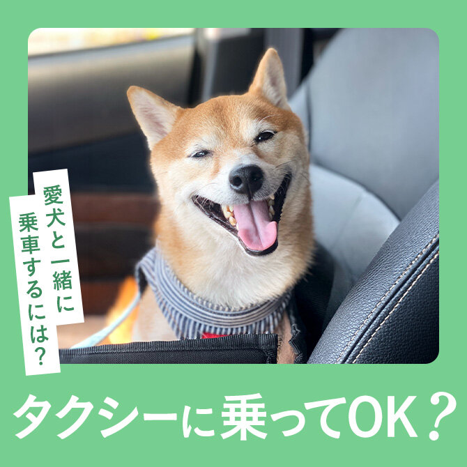 【犬はタクシーに乗れる？】犬をタクシーに乗せる際のマナーや犬乗車OKのタクシー紹介まで
