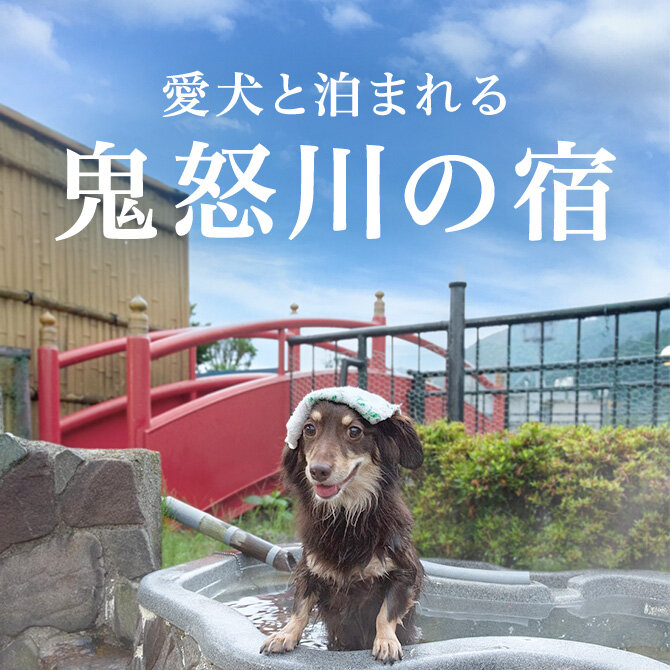鬼怒川温泉のペットと泊まれる人気宿ランキング