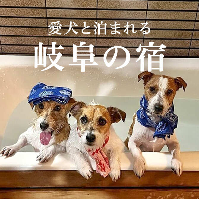 岐阜のペットと泊まれる宿ランキング｜2026年最新宿一覧