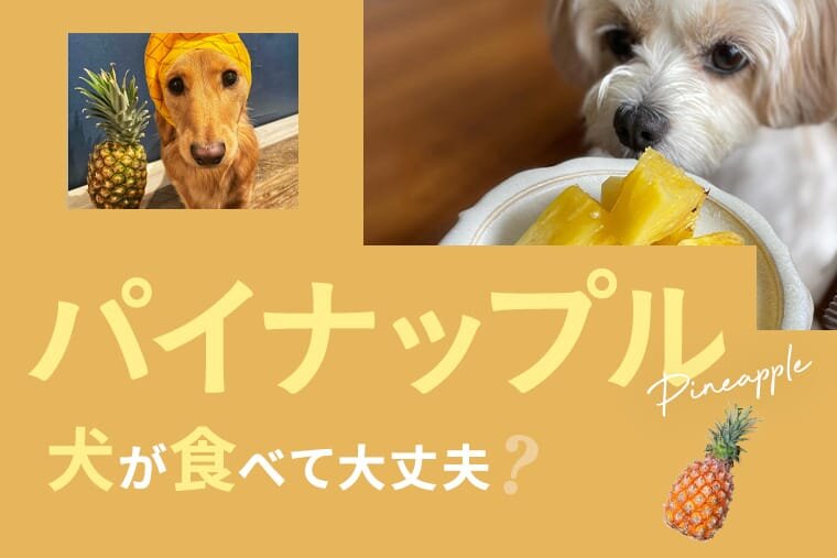 犬にパイナップル食べさせても大丈夫ですか？