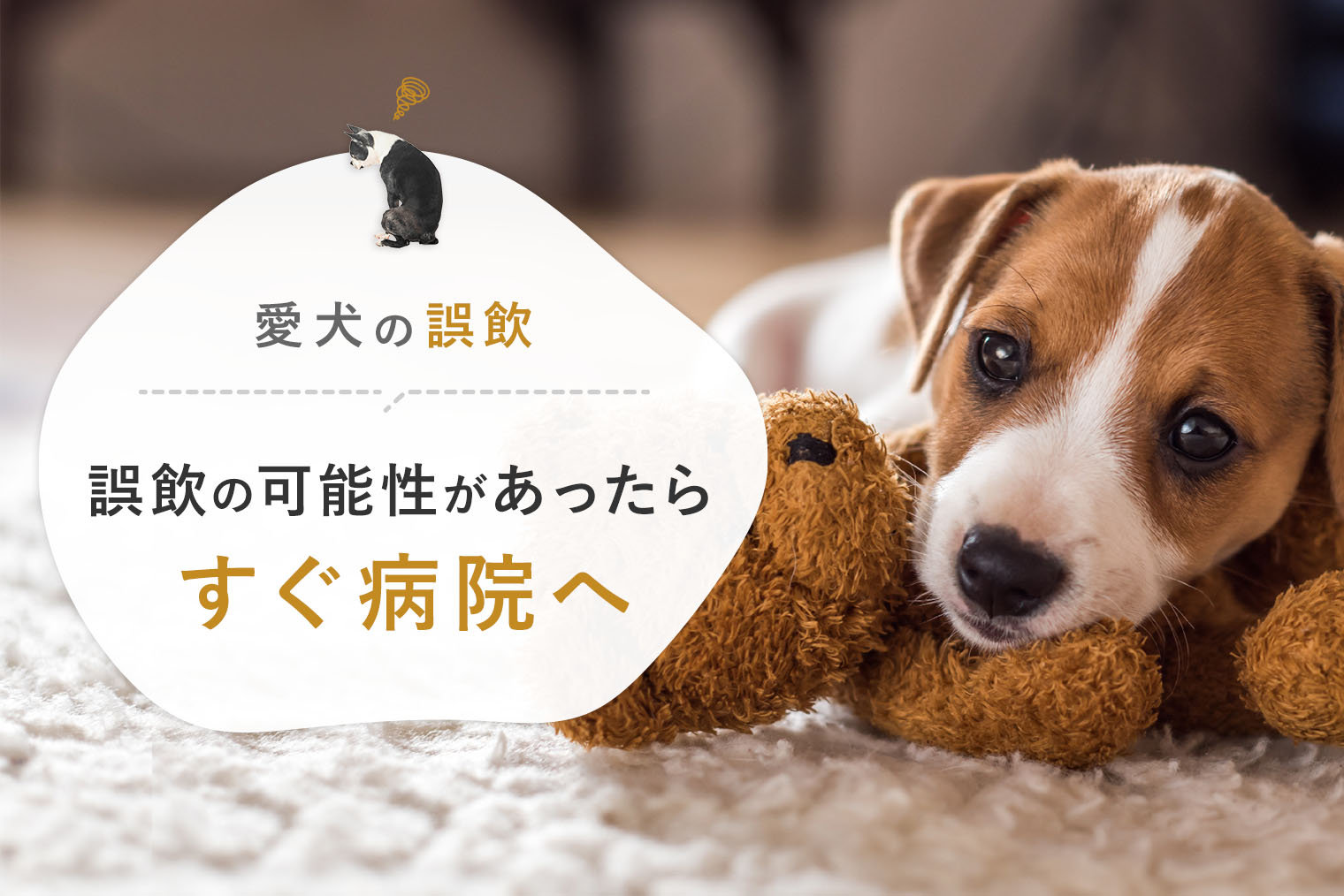 犬の誤飲 愛犬に誤飲の可能性があったら放置せずに動物病院へ