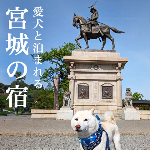 【宮城・仙台のペットと泊まれる宿11選】宮城・仙台の犬と泊まれる宿｜2025年最新版