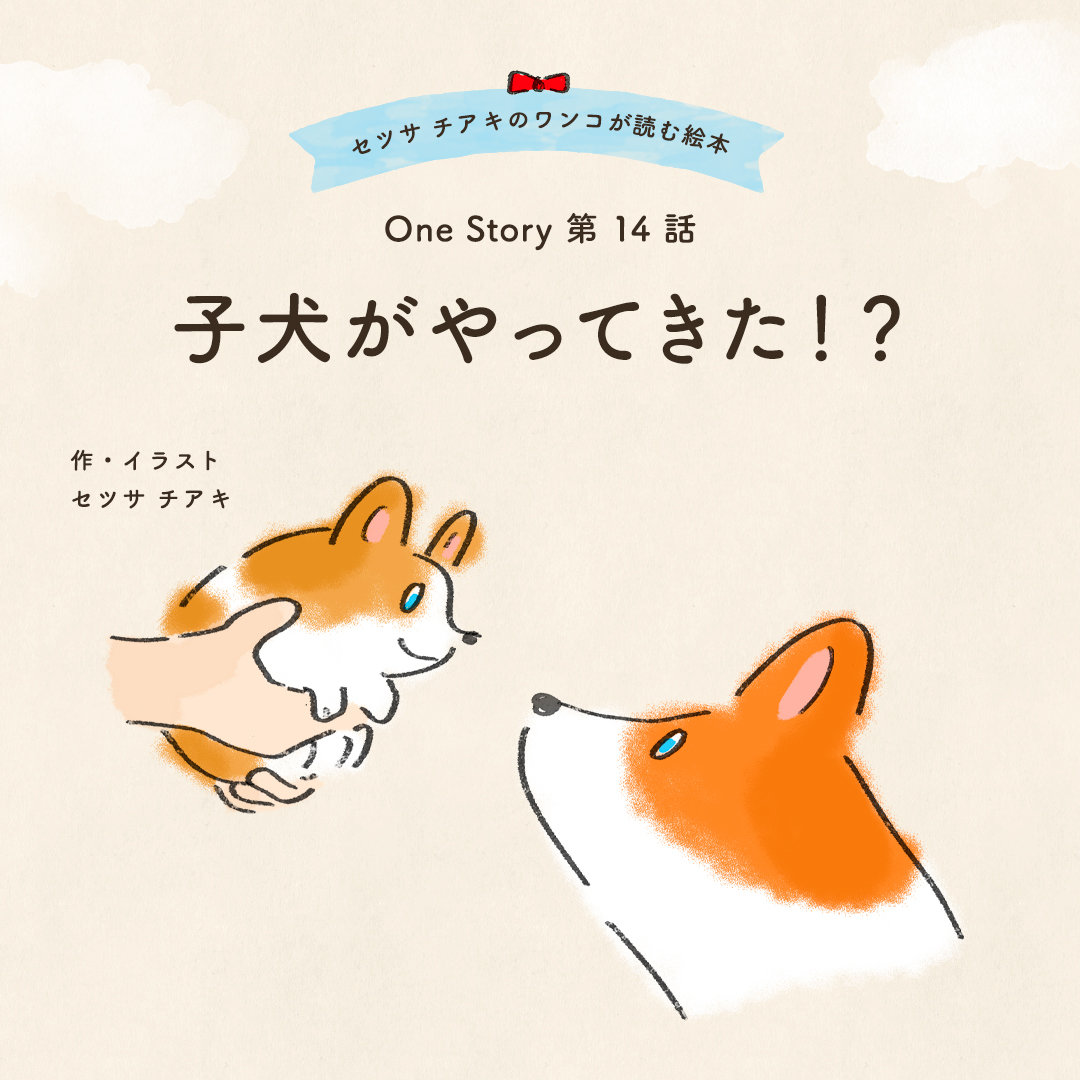 セツサ チアキのワンコが読む絵本 Onestory 第14話 子犬がやってきた！？