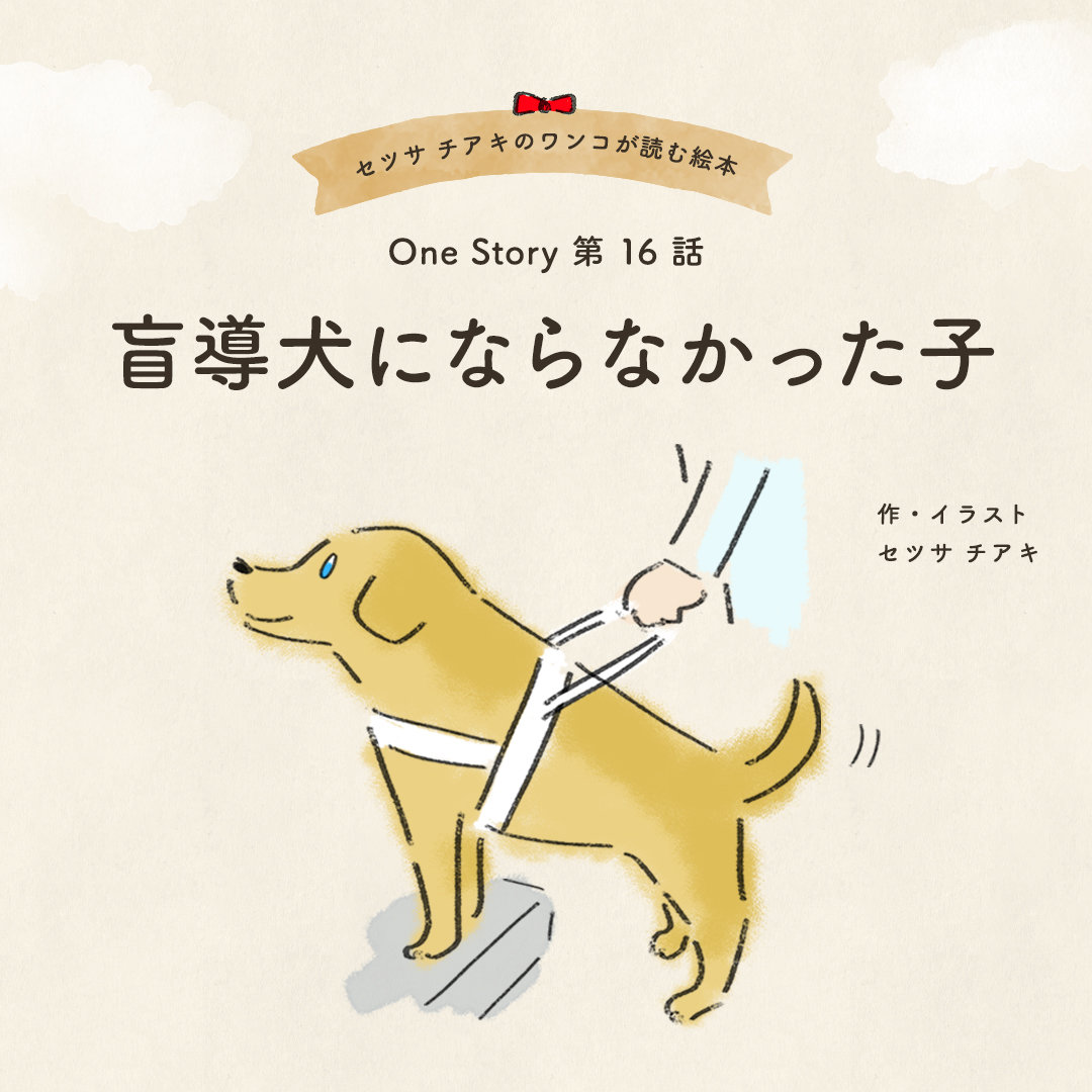 セツサ チアキのワンコが読む絵本 Onestory 第16話 盲導犬にならなかった子