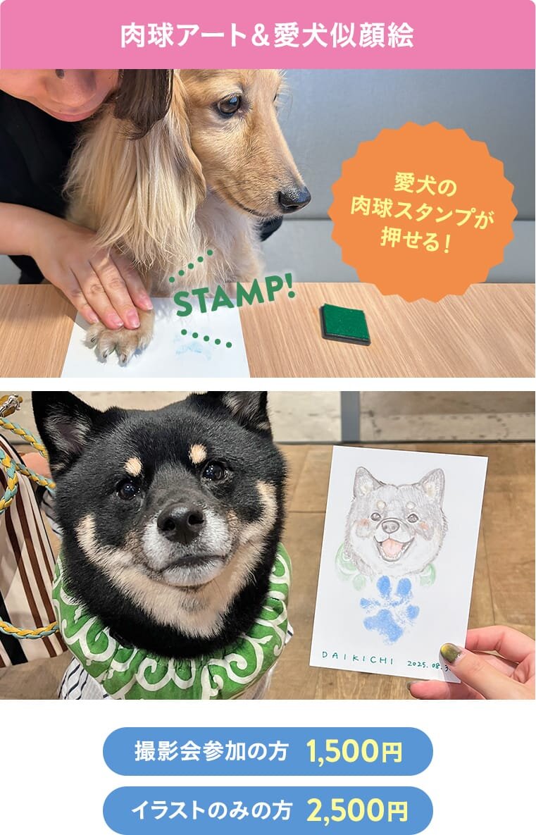 肉球アート&愛犬似顔絵 撮影会参加の方1500円、イラストのみの方2500円