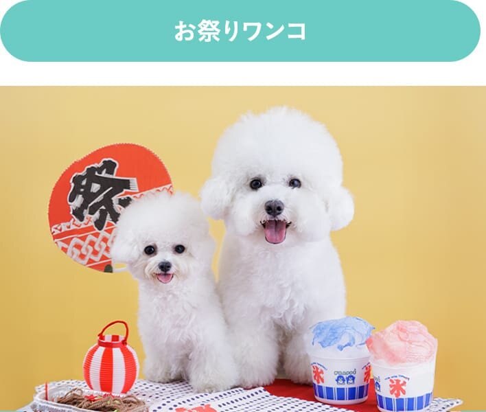 お祭りワンコ