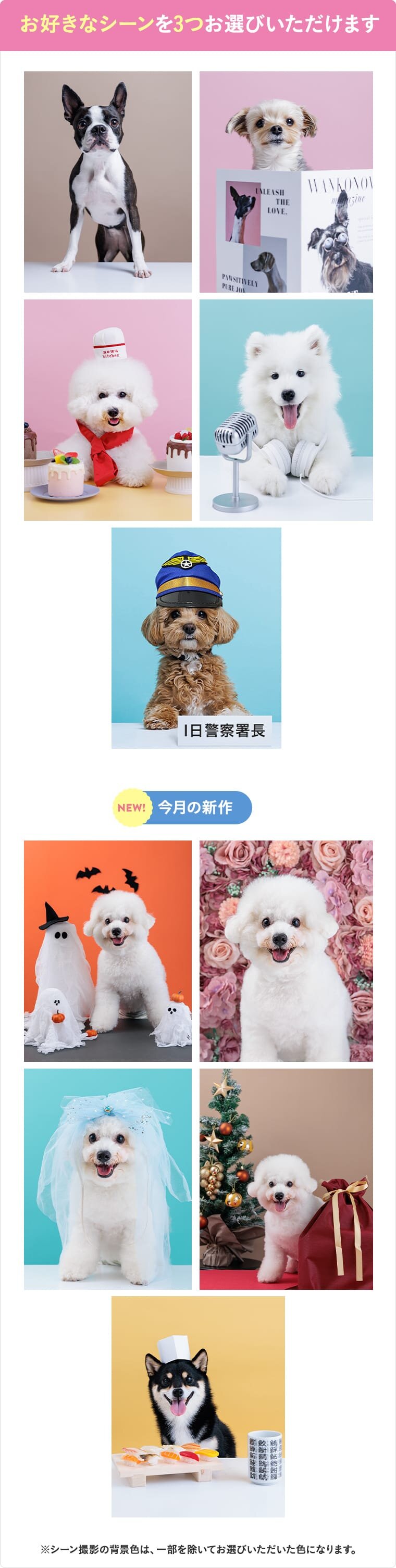 お好きなシーンを3つお選びいただけます。