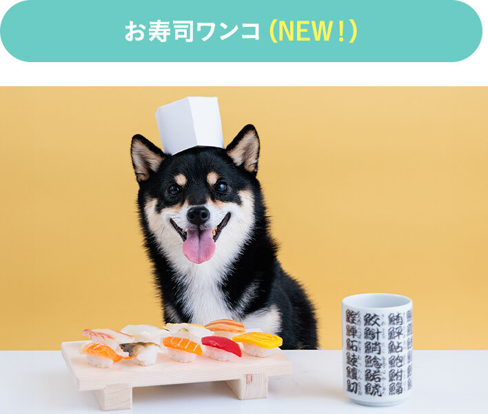 お寿司ワンコ