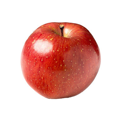 犬はりんごを食べても大丈夫！正しい与え方と注意点【獣医師監修】