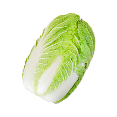 犬に白菜をあげても大丈夫？犬は白菜を食べて大丈夫か解説