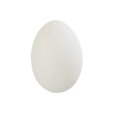 犬は卵を食べても大丈夫。犬に卵を与える際の注意点やアレルギー、卵焼き・白身も大丈夫かについて解説。