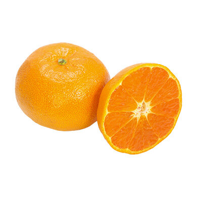 犬はみかんを食べても大丈夫！正しい与え方と注意点【獣医師監修】