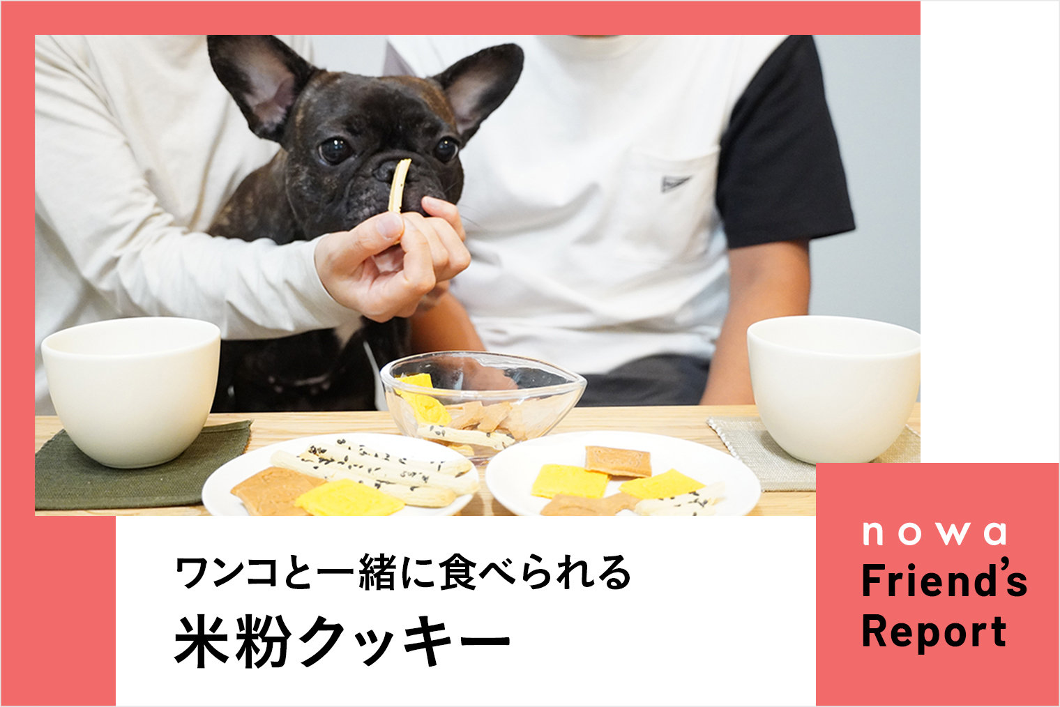 ワンコのおやつ｜食感が楽しい。からだにやさしい。ヒトとワンコが一緒に食べる米粉クッキー
