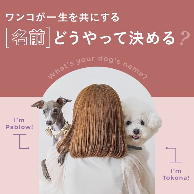 【犬の名前ランキング】2024年はどんな犬の名前が人気？犬のオス・メスのそれぞれの人気のの名前もチェック！