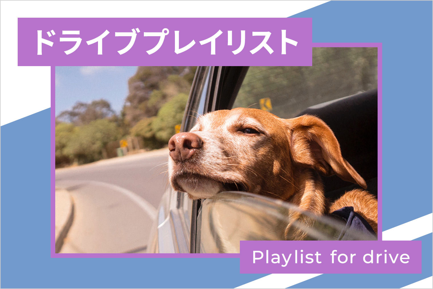 ドライブで聴きたい！愛犬と楽しめるプレイリスト