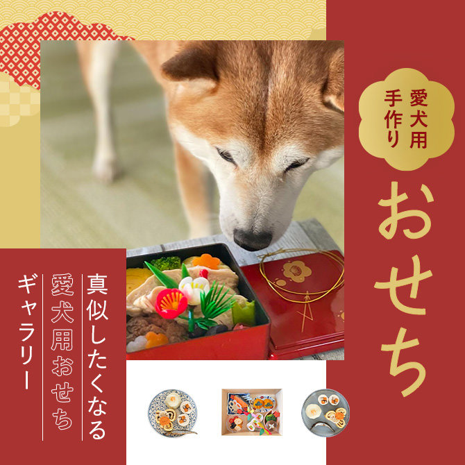 【愛犬用手作りおせち】年明けから愛を感じる手作り愛犬おせちギャラリー