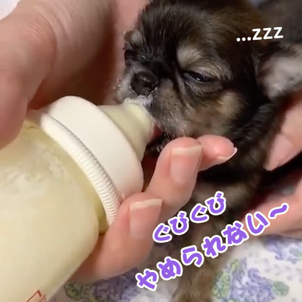 ねむい😴けど、やめられない🍼グビグビ