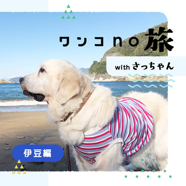 さっちゃんといくワンコ旅、伊豆編