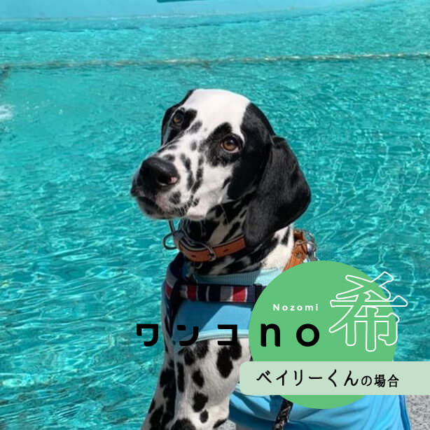 知らないことだらけの世界にワクワク。ベイリーくんの2021no希望