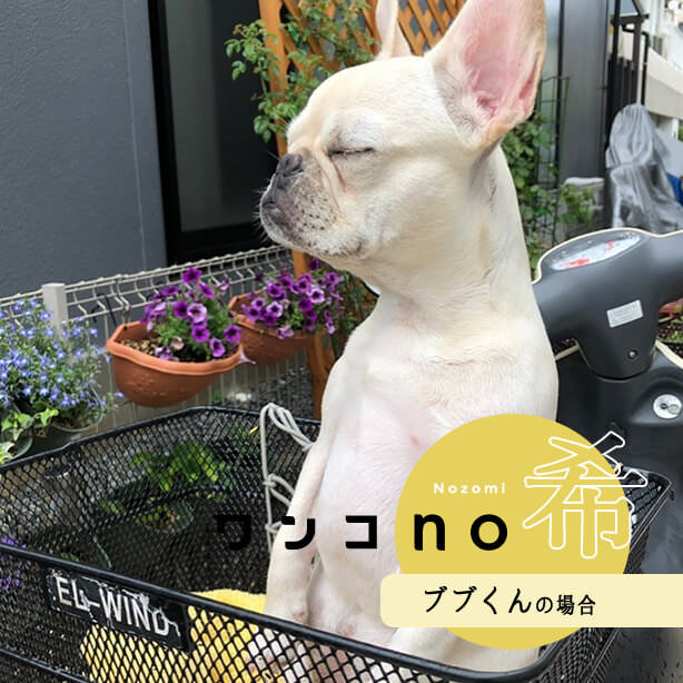 easy&slowな気ままライフ。ブブくんの2021no希望