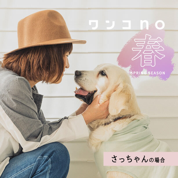 きっと春が来るたび、思い出す、さっちゃんのこと。ありがとう。さっちゃん