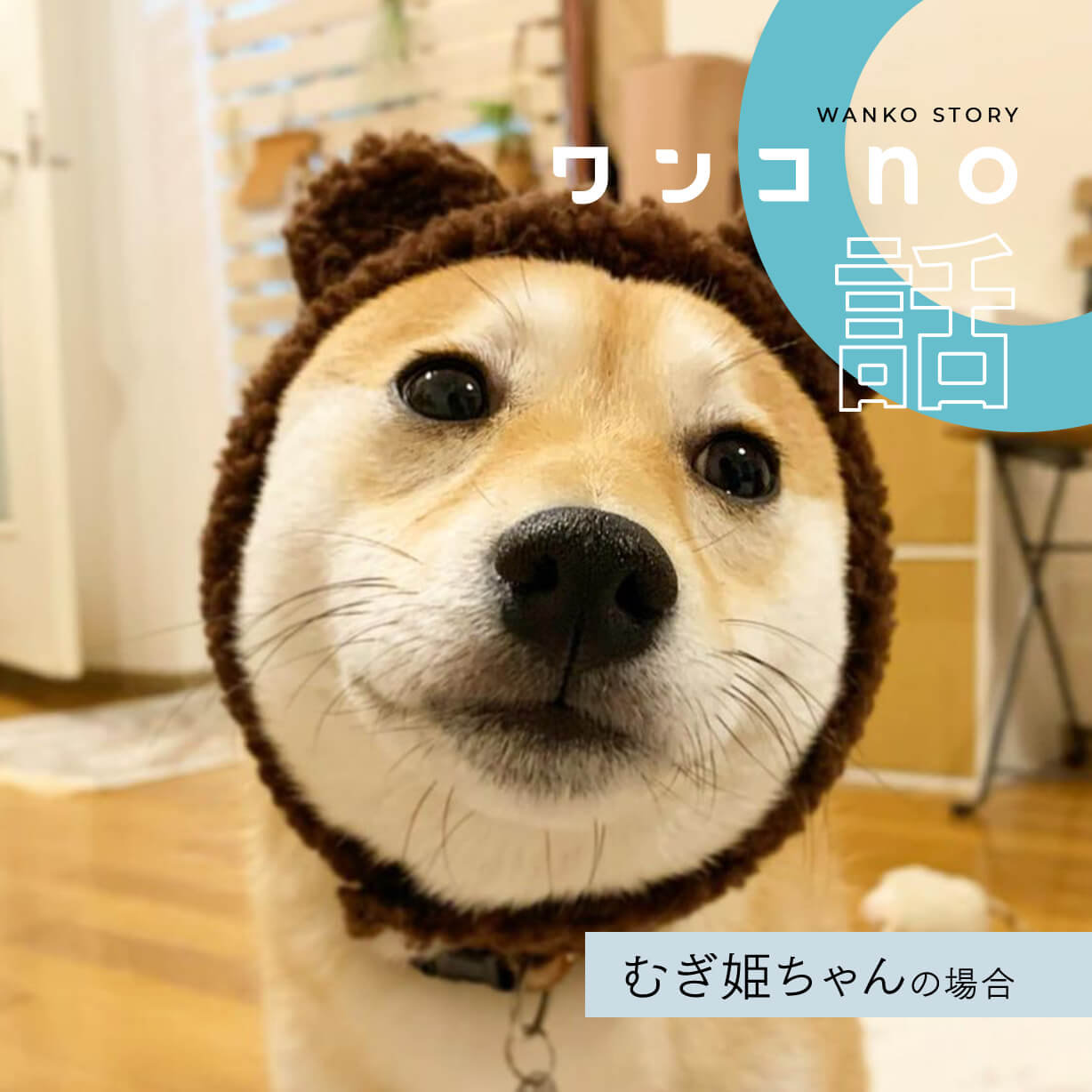 「ワンコno話」第一弾。種族を超えたむぎ姫ちゃんの家族愛。
