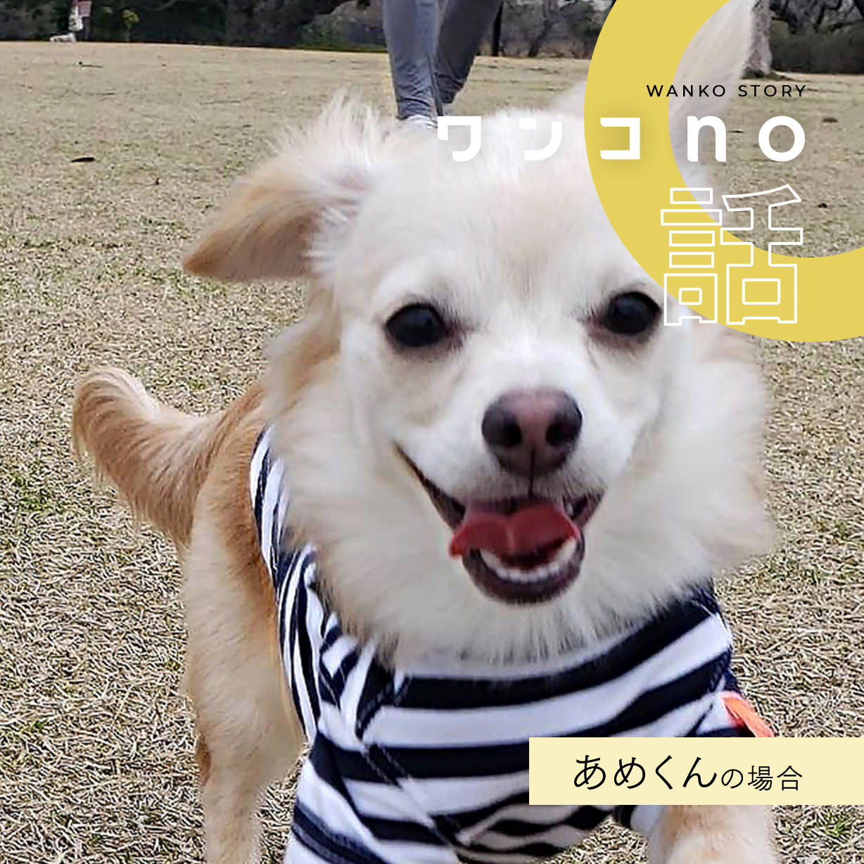 まだまだ「初めまして」がたくさん。あめくんの大冒険の日々