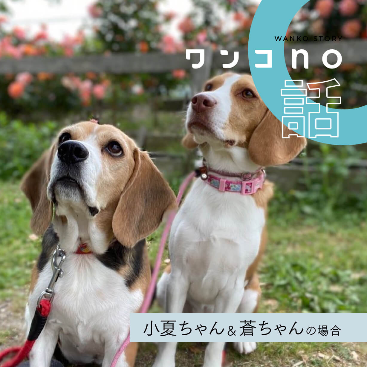なんでも分かち合う。幸せなお二人なのでした