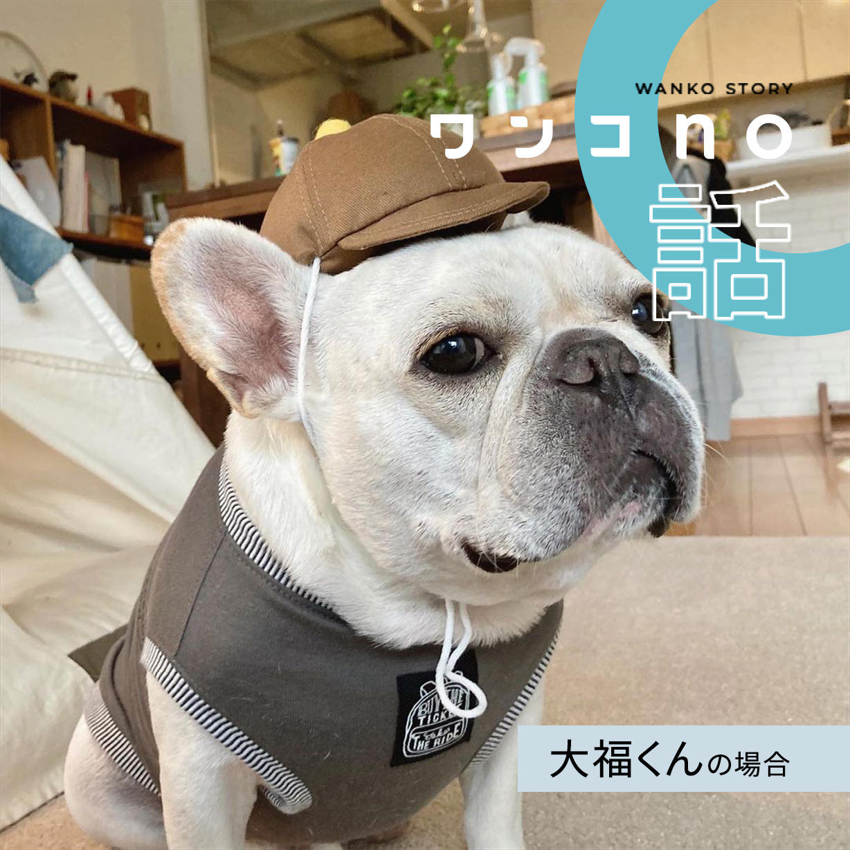 フレブル大福くんの素敵な夏の思い出