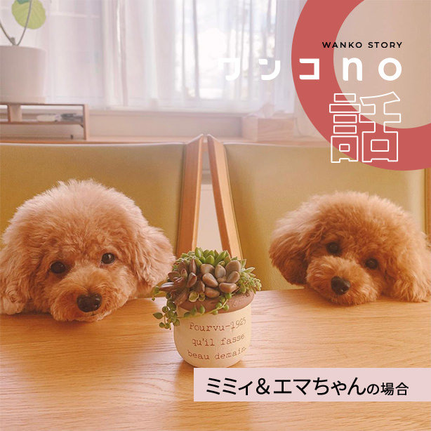 まるで絵本の中のような２人の世界