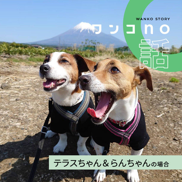 多彩な表情で、笑いをくれるテラスちゃん＆らんちゃん