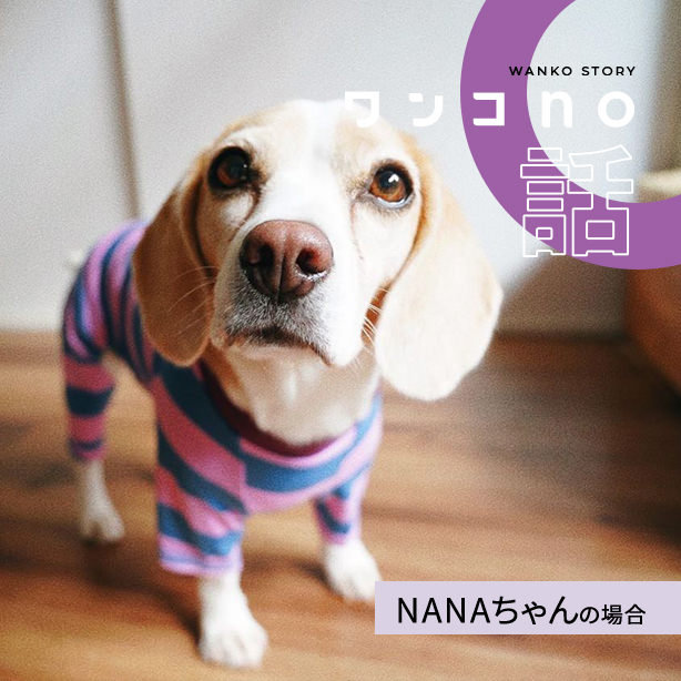 NANAちゃんが今年もらった一番のギフト