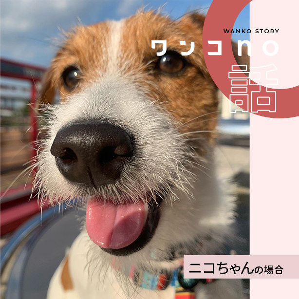 笑顔担当大臣ニコちゃん